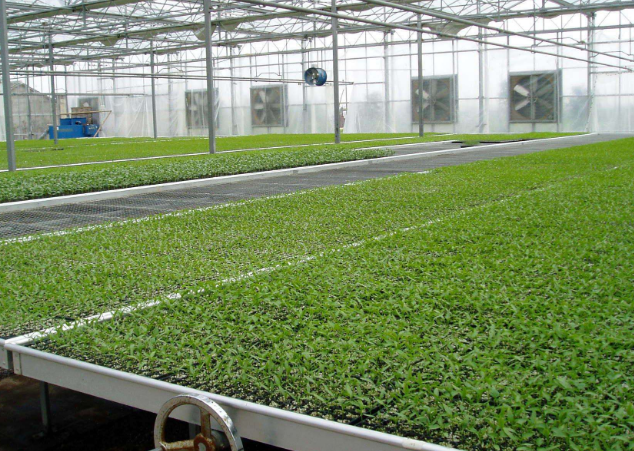 溫室移動苗床施工方分享施工注意事項(xiàng)